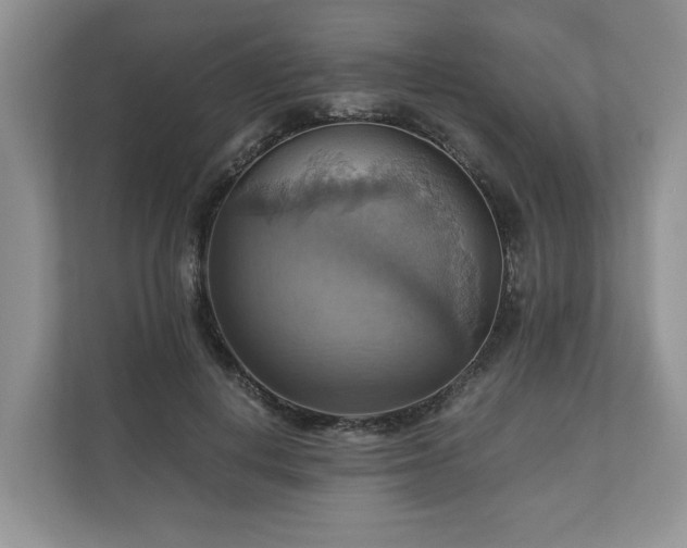 X0000111030648200907021539