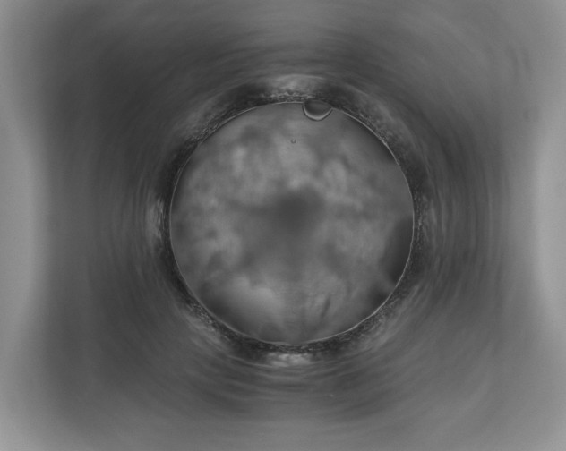 X0000111030649200907021539