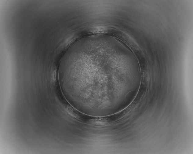 X0000111030652200907021539