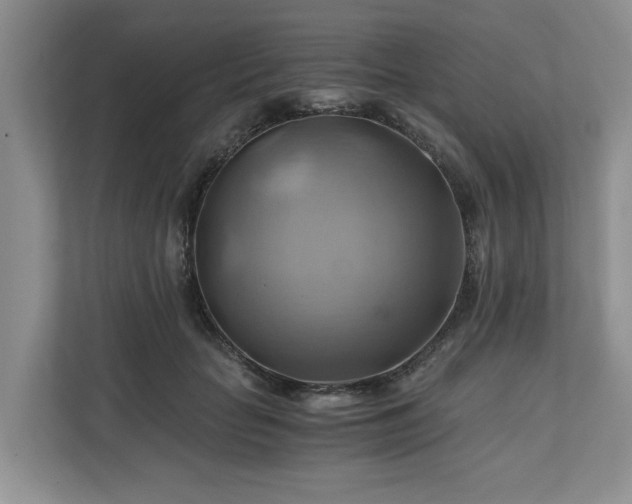 X0000111030653200907021539