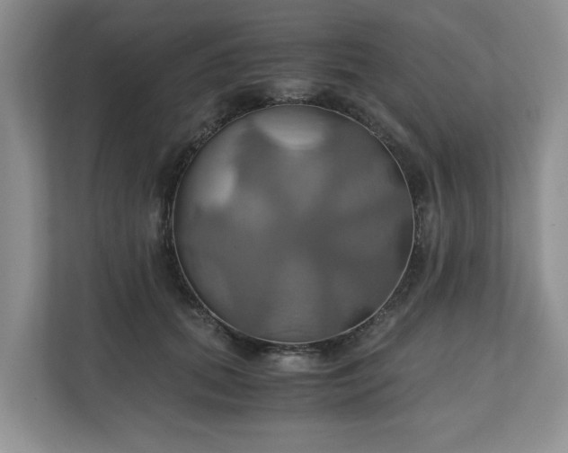 X0000111030655200907021539