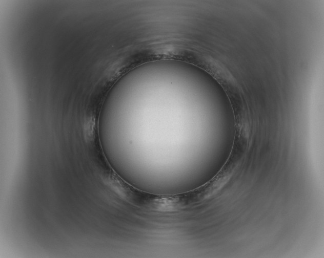 X0000111030660200907021539