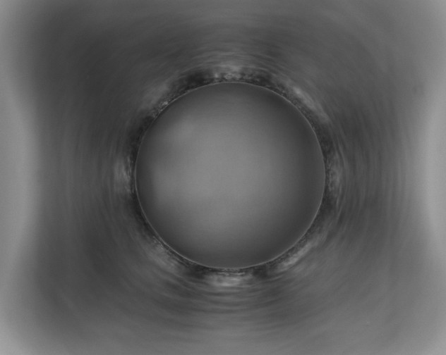 X0000111030661200907021539
