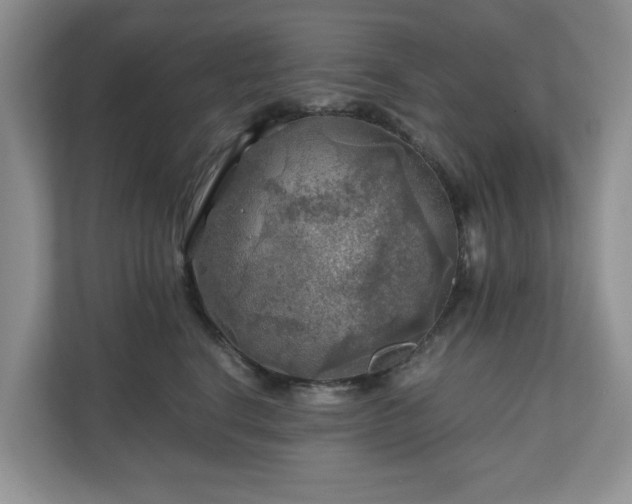 X0000111030664200907021539