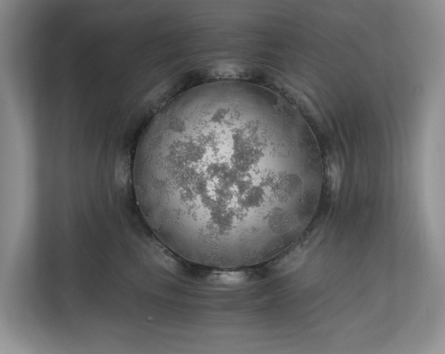 X0000111030665200907021539