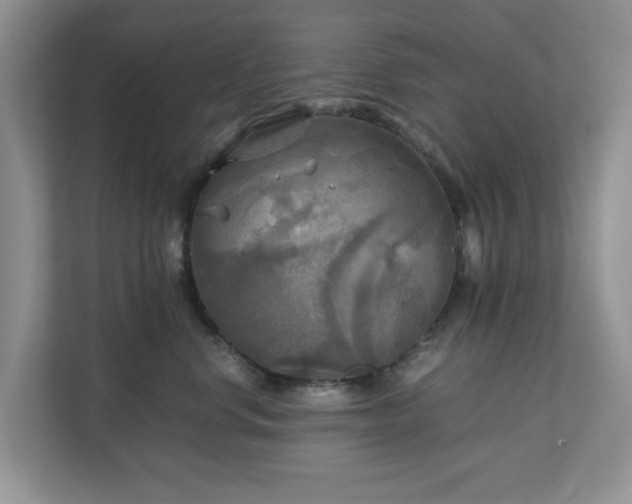 X0000111030668200907021539