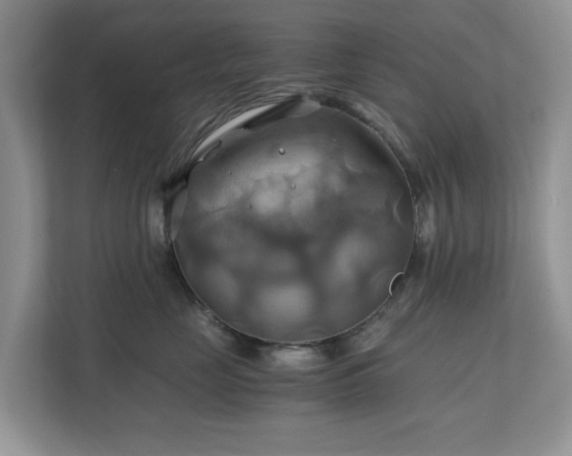 X0000111030669200907021539