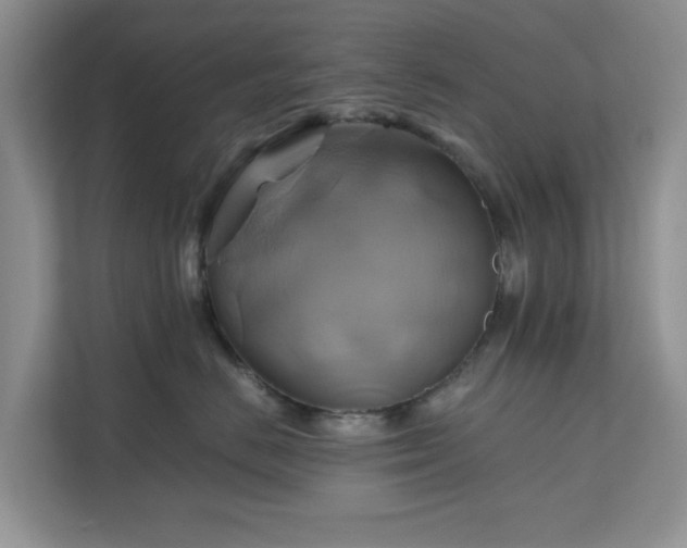 X0000111030670200907021539