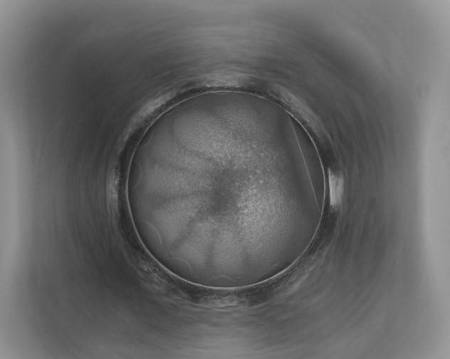 X0000111030675200907021539