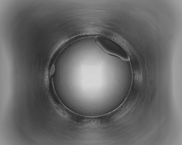 X0000111030676200907021539