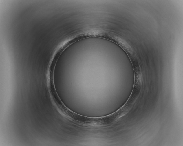 X0000111030678200907021539