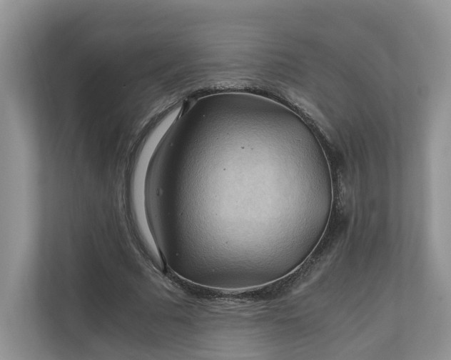 X0000111030681200907021538