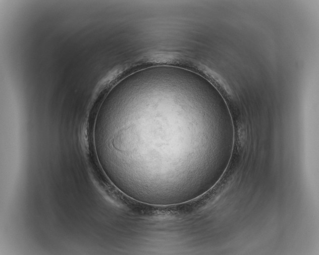 X0000111030682200907021538