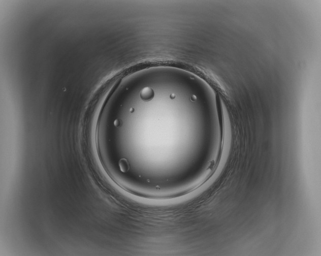 X0000111030684200907021538