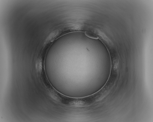 X0000111030685200907021538