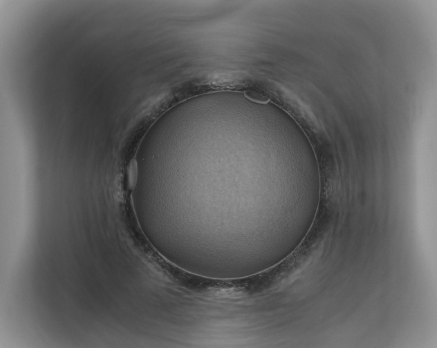 X0000111030689200907021538