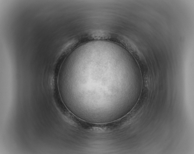 X0000111030690200907021538