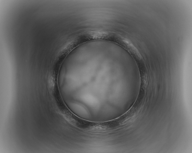X0000111030691200907021538