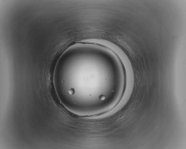 X0000111030693200907021538