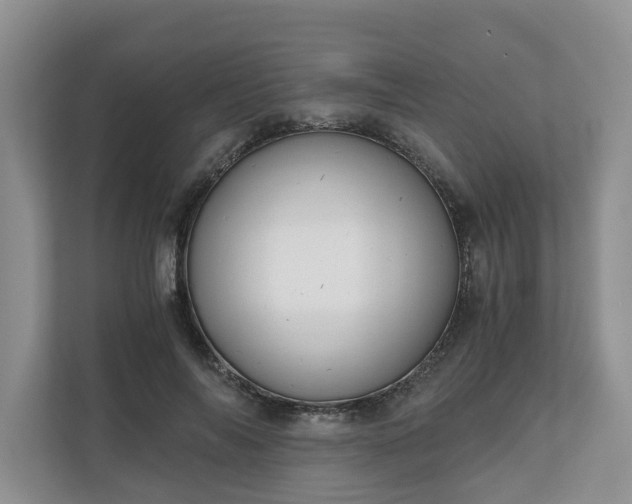 X0000111030694200907021538