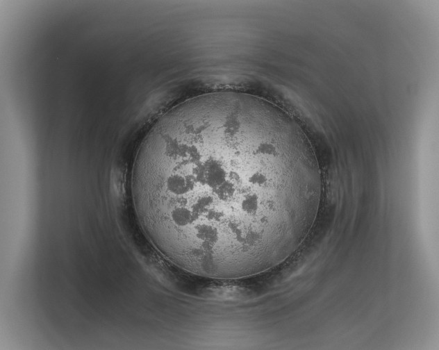 X0000111030695200907021538