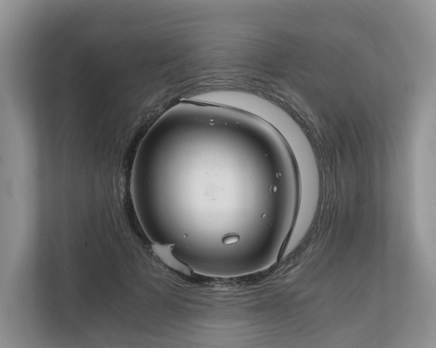 X0000111030697200907021538