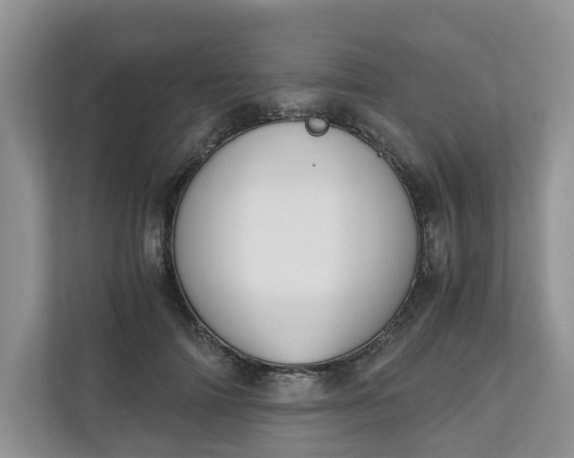 X0000111030698200907021538