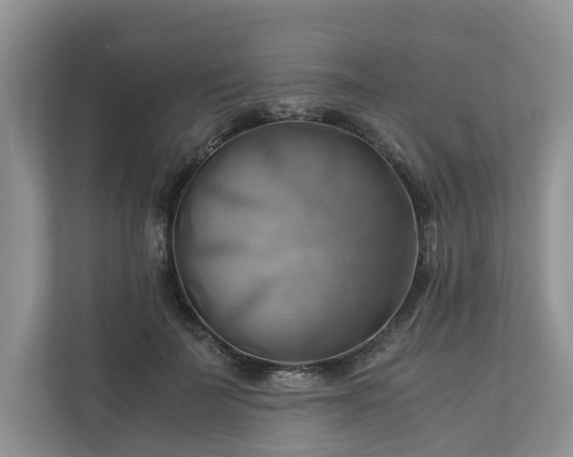 X0000111030699200907021538