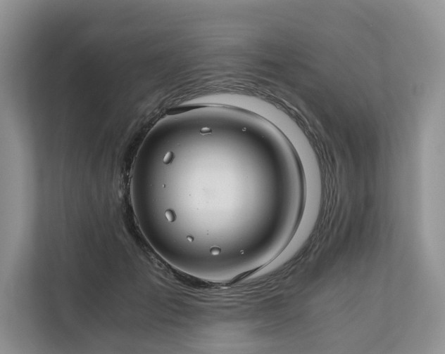 X0000111030701200907021538
