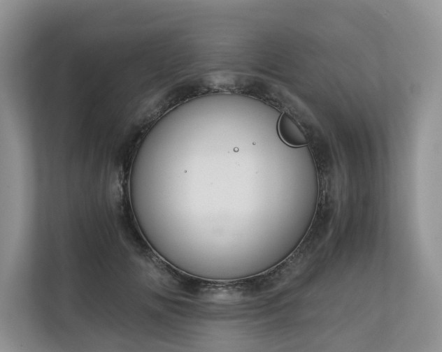 X0000111030702200907021538