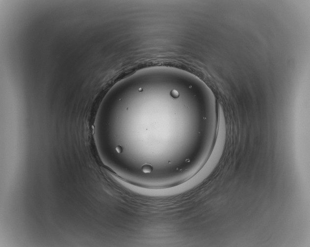 X0000111030704200907021538