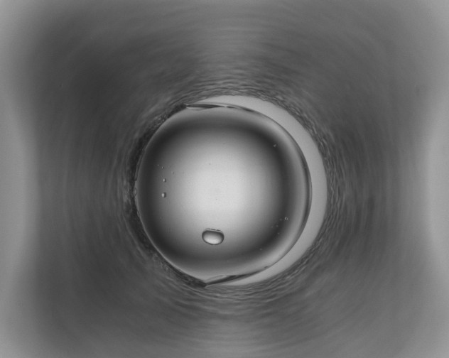X0000111030705200907021538