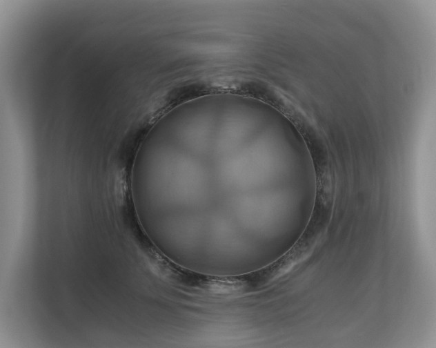 X0000111030707200907021538