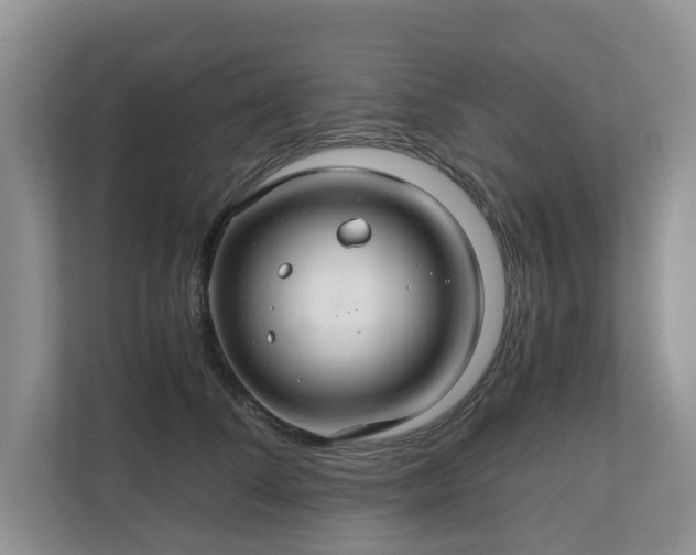 X0000111030708200907021538