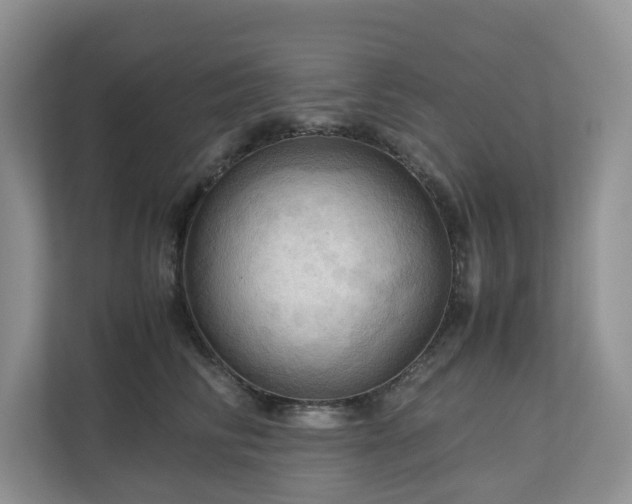 X0000111030710200907021538