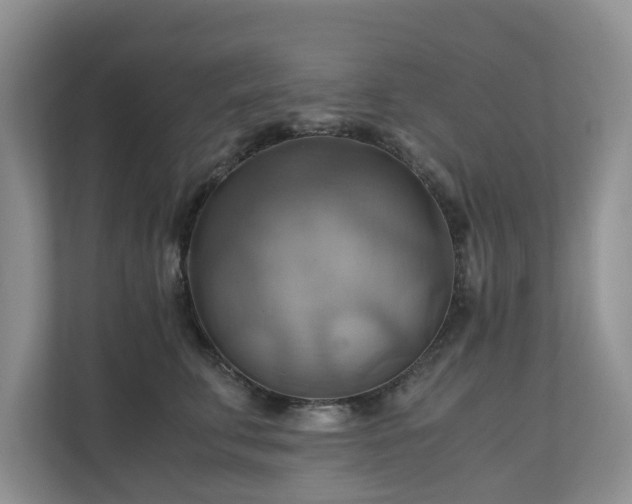 X0000111030711200907021538