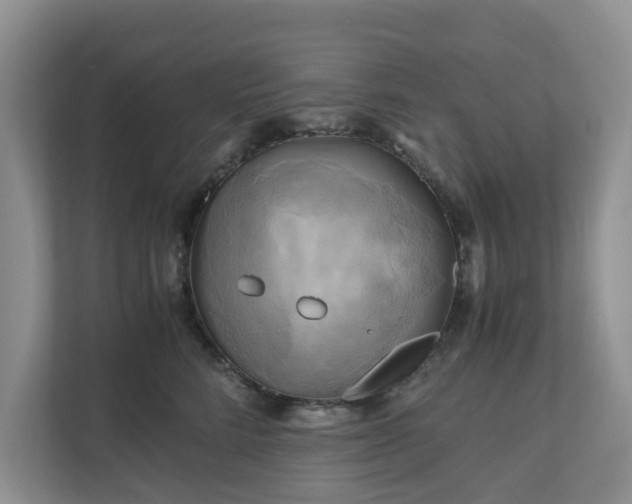 X0000111030712200907021538