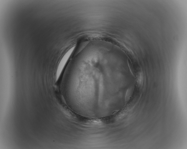 X0000111030715200907021538