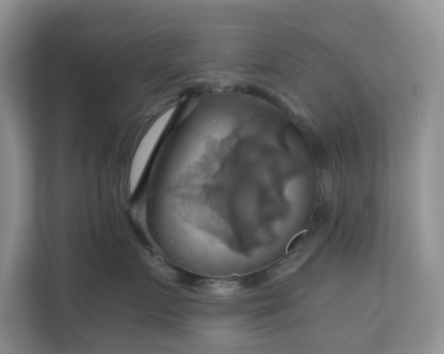 X0000111030719200907021538