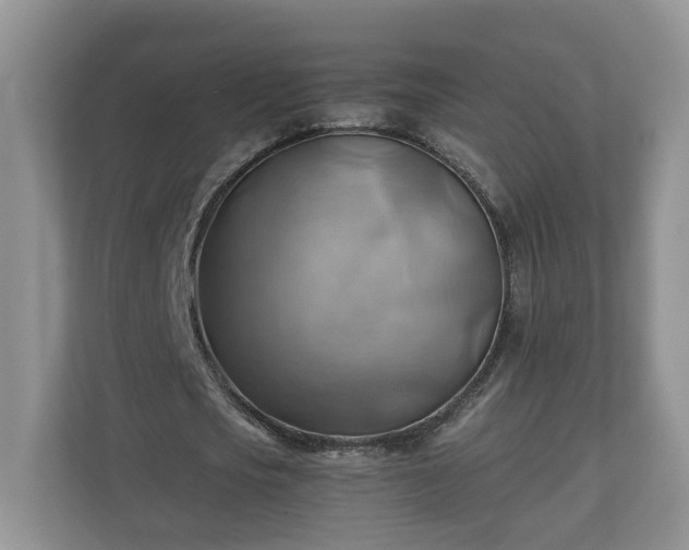 X0000111030721200907021537