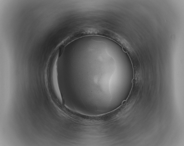 X0000111030722200907021537