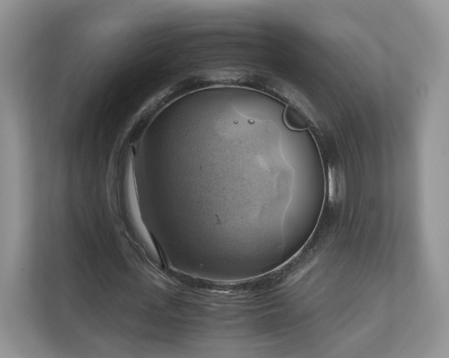 X0000111030723200907021537