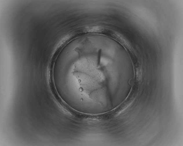 X0000111030725200907021537