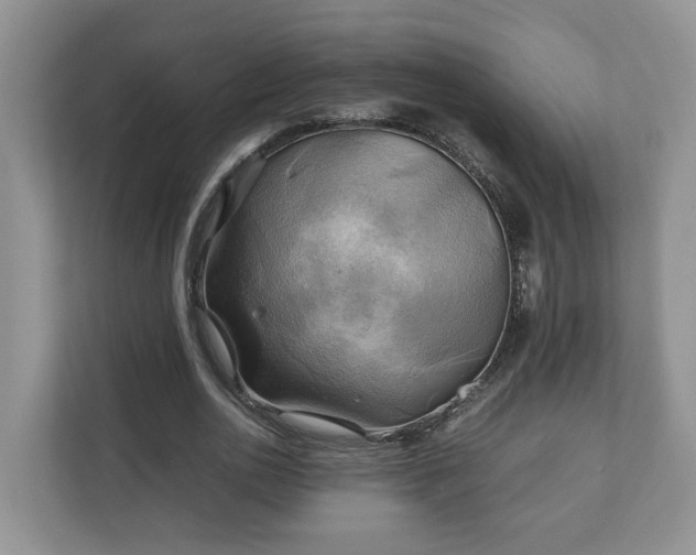 X0000111030726200907021537
