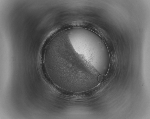 X0000111030727200907021537