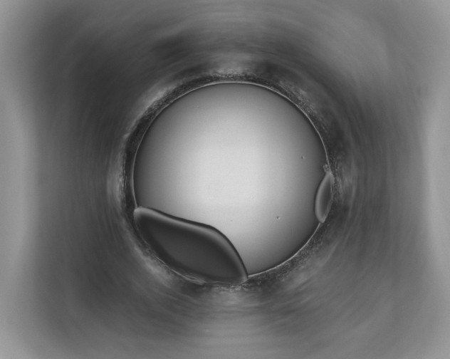 X0000111030728200907021537