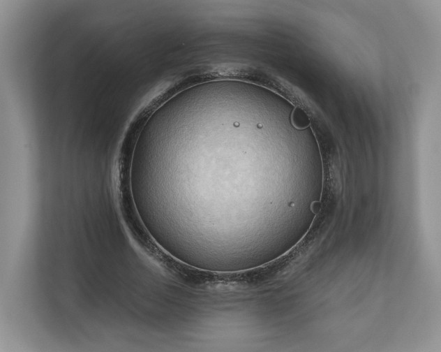 X0000111030730200907021537