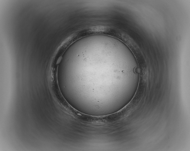 X0000111030731200907021537