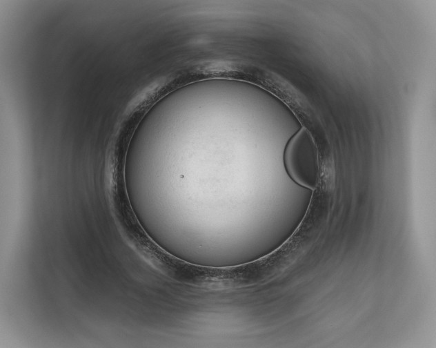 X0000111030732200907021538