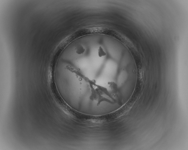 X0000111030733200907021538